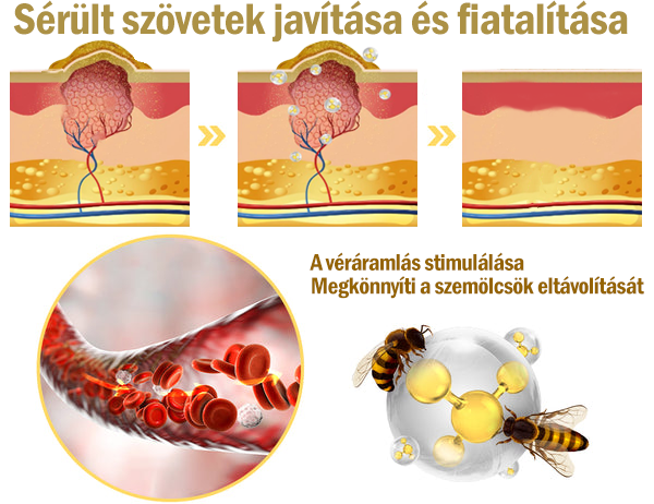 🎁 Már csak 5 doboz maradt! További 50% kedvezményt kínálunk! Legyen fitt és egészséges. Fogjon le most, és nem lesz más esélye jövő évig.